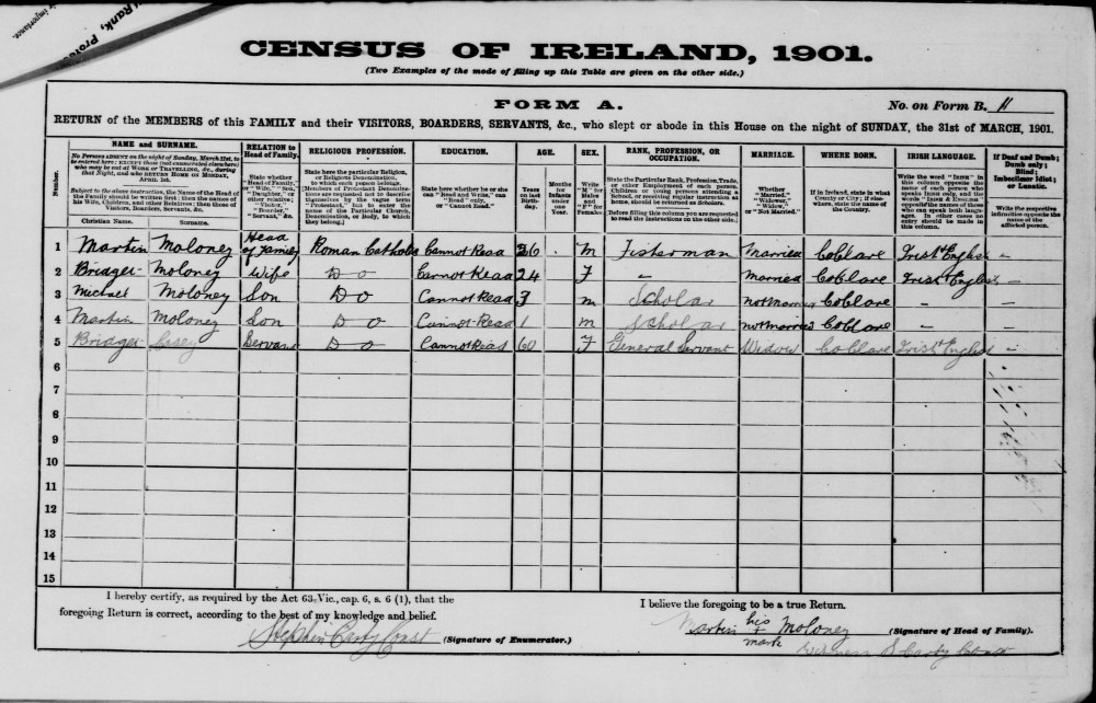 1901CensusMartinMoloney